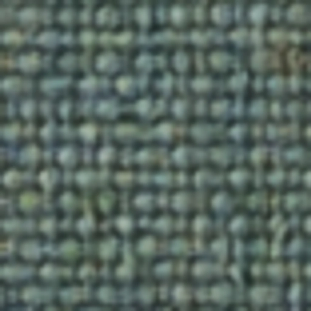 Atspalvis 24