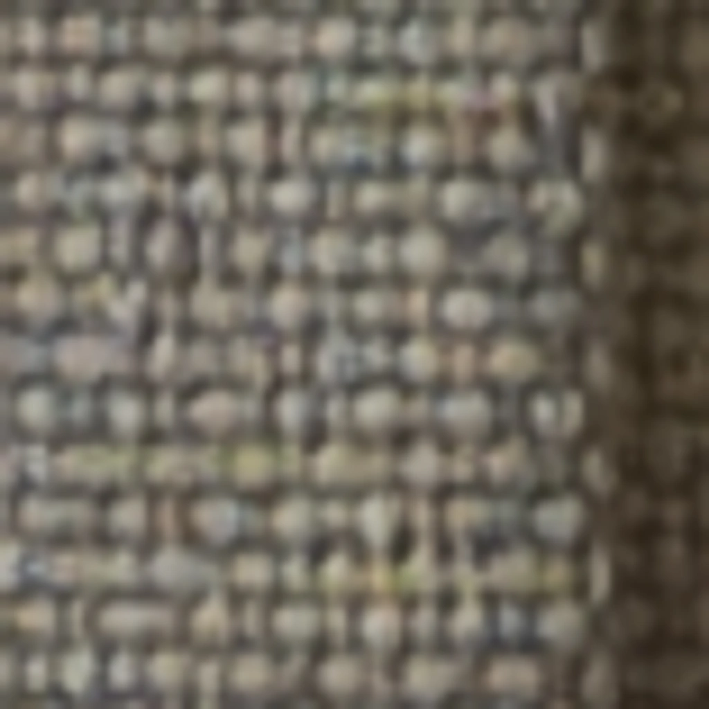 Atspalvis 25