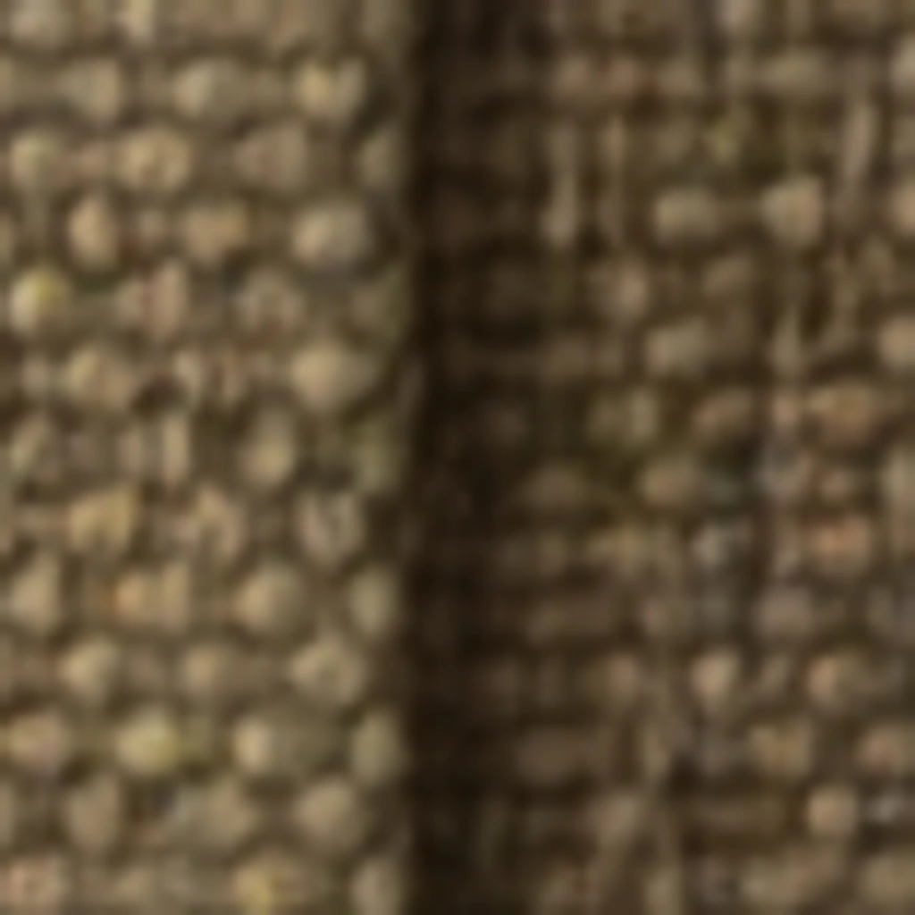 Atspalvis 31