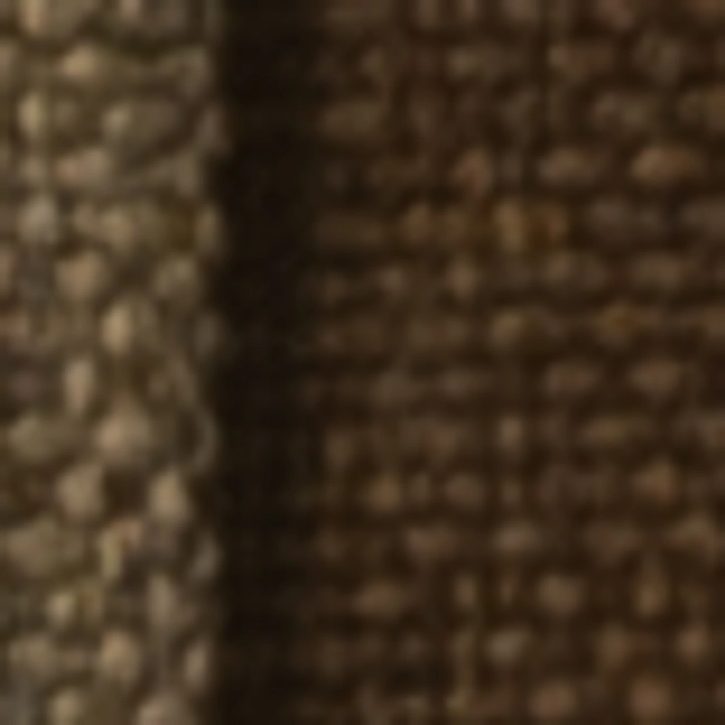 Atspalvis 32