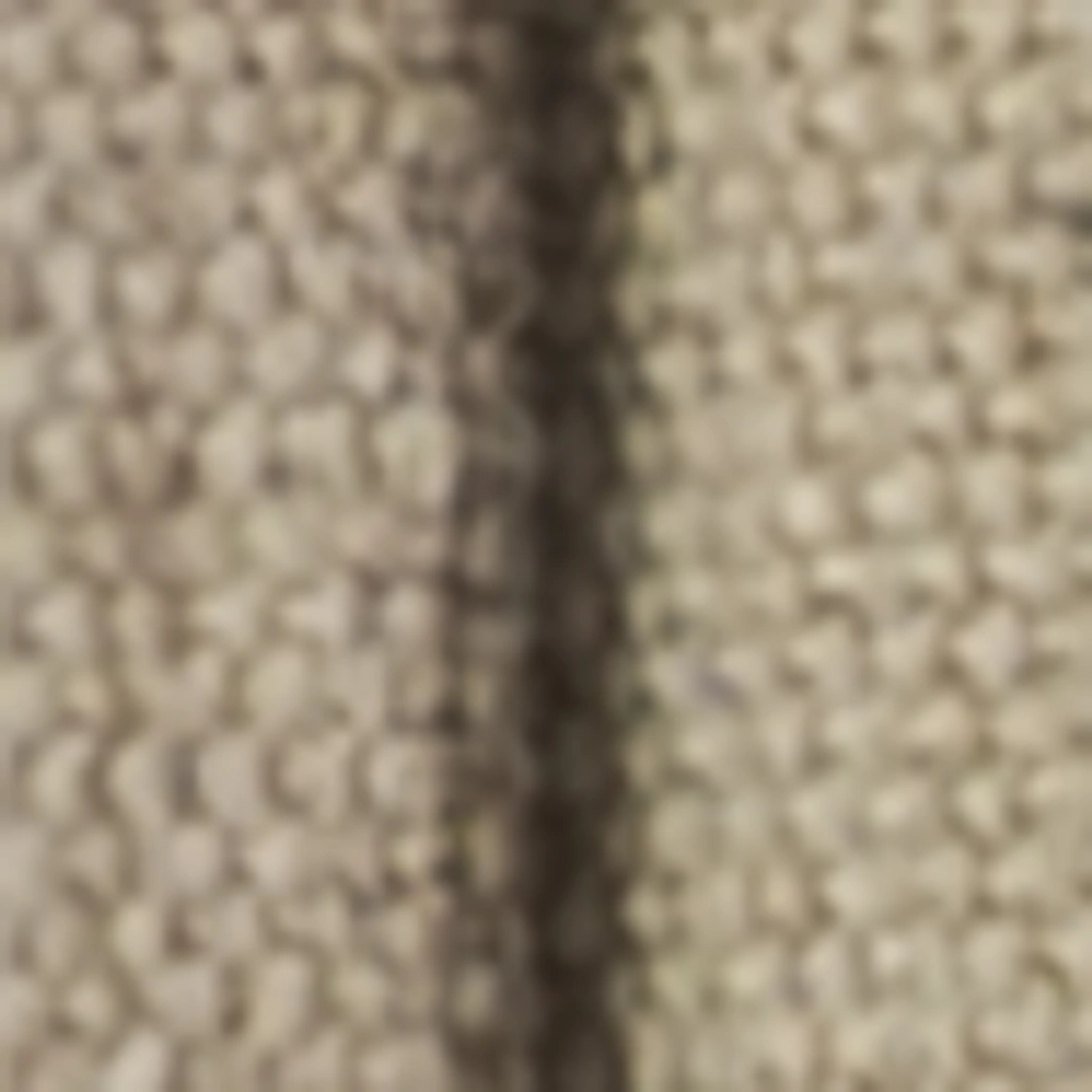Atspalvis 1