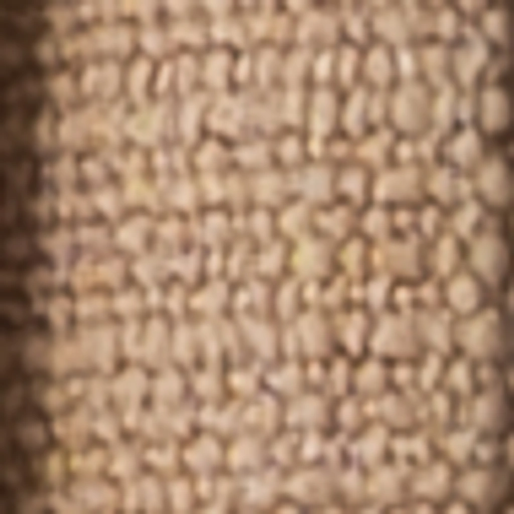 Miglota rožė