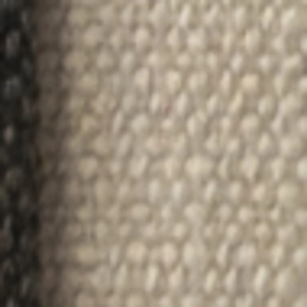 Atspalvis 29