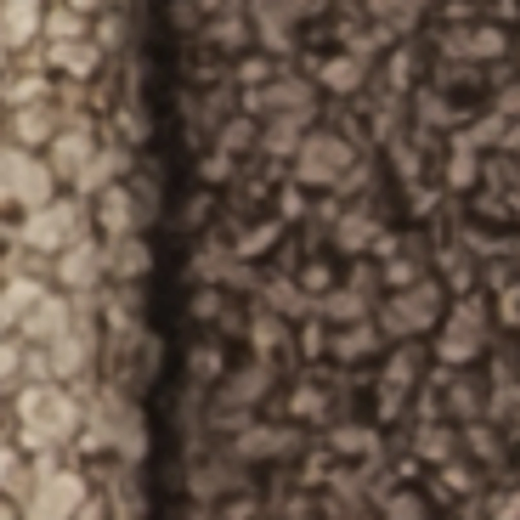 Atspalvis 3