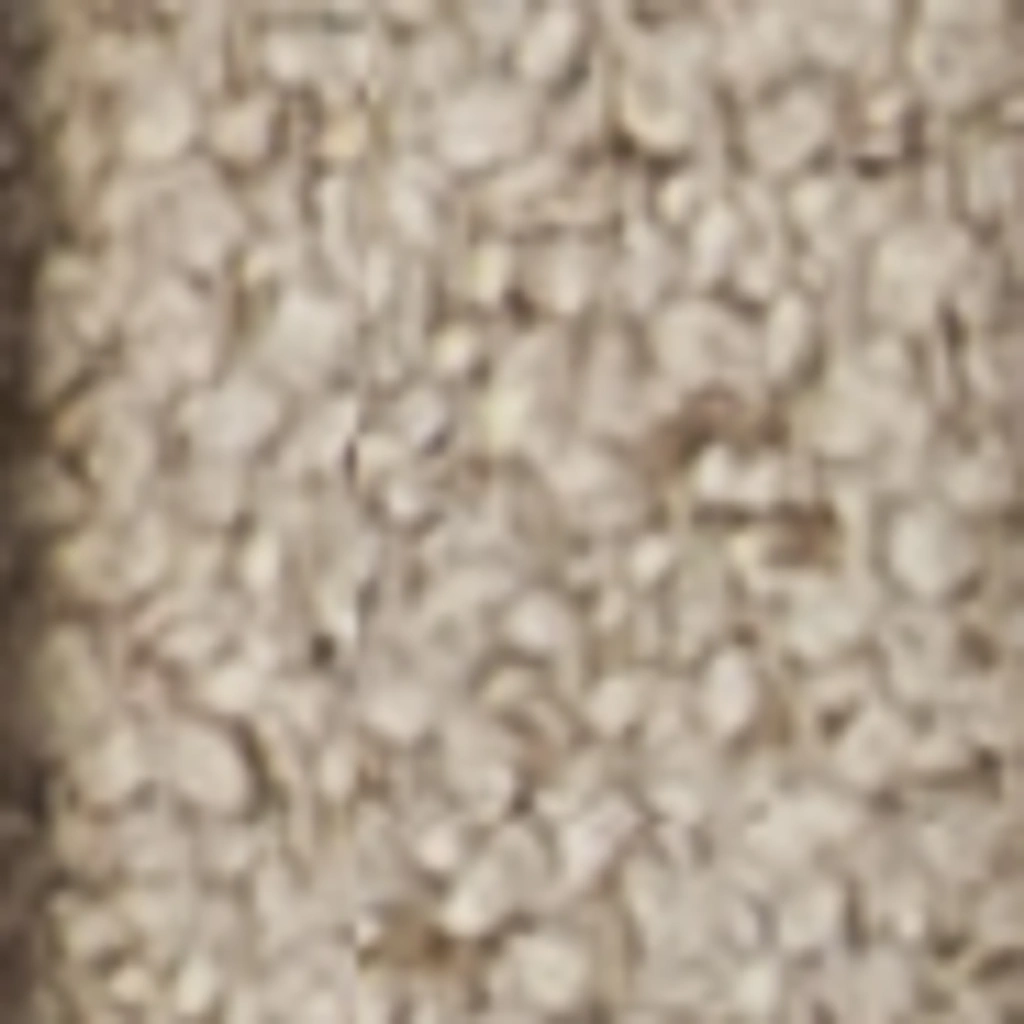 Kašmyro rūkas