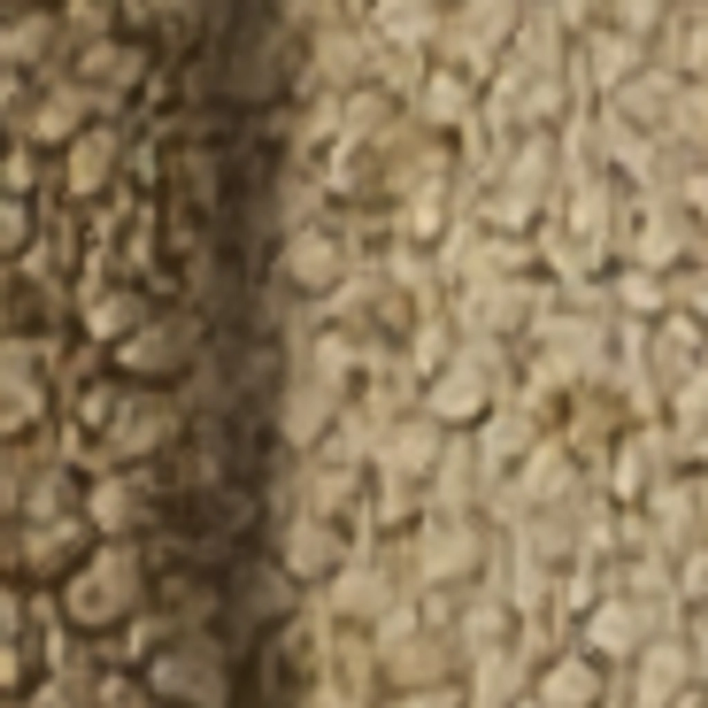 Kašmyro rūkas