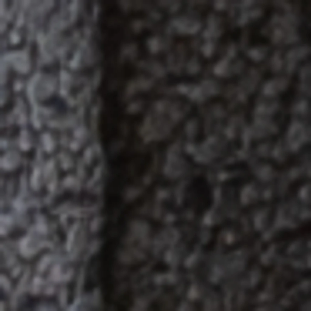 Atspalvis 21