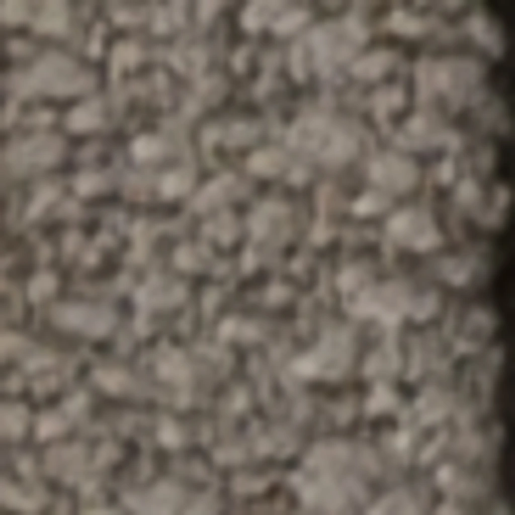 Riešutmedžio šiluma