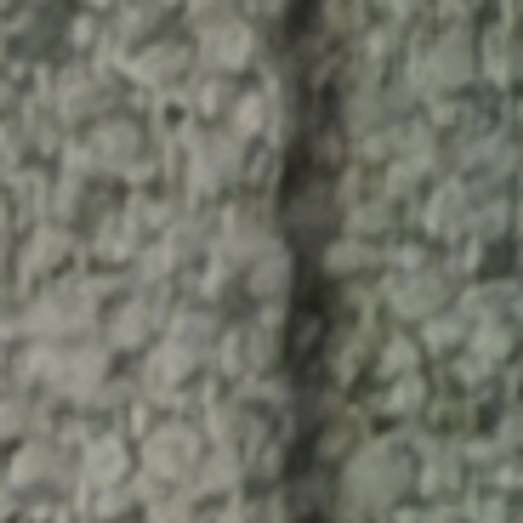 Kašmyro rūkas