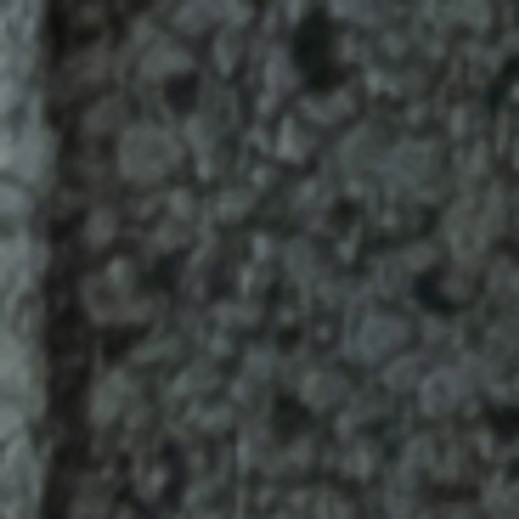 Grafito rafinuotumas