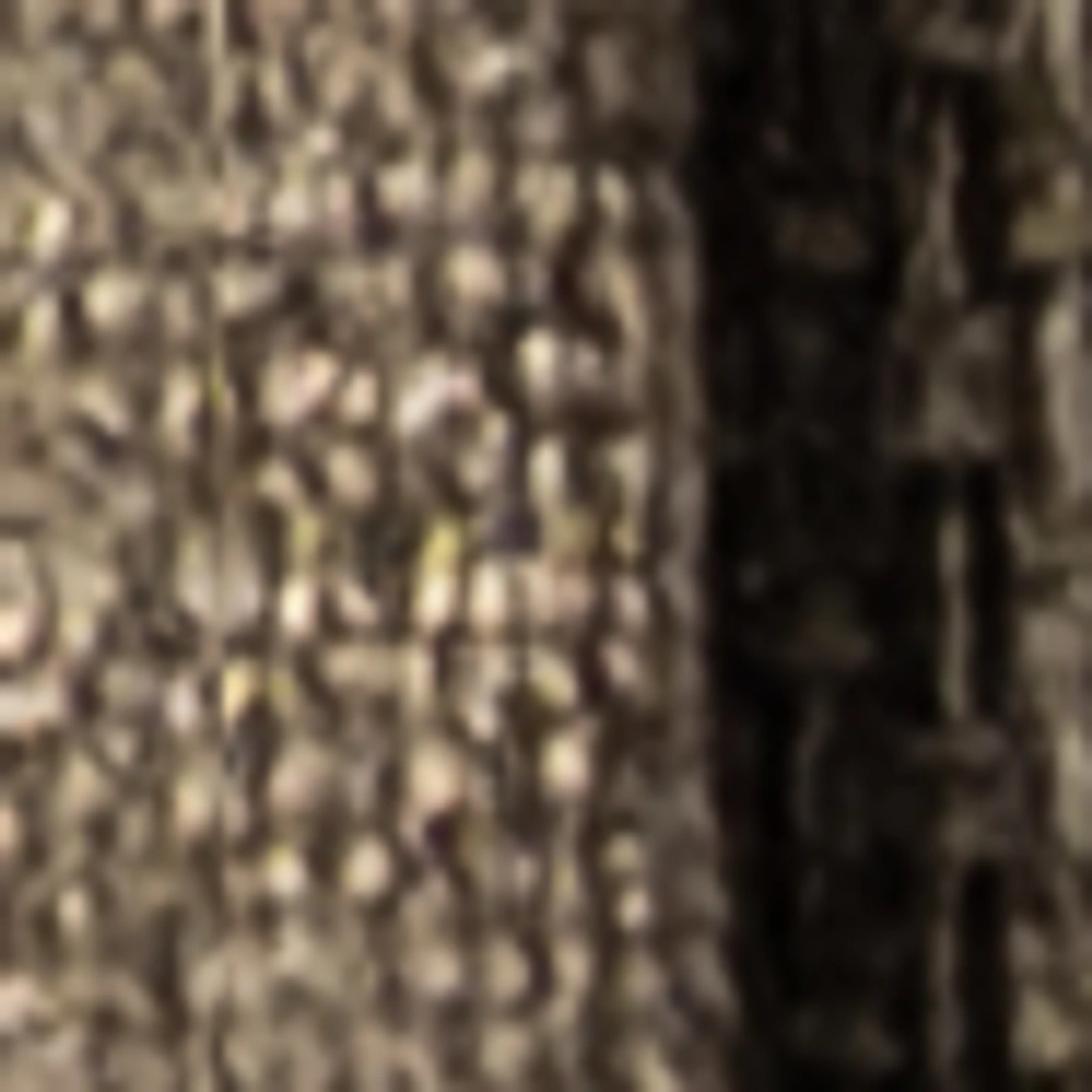 Atspalvis 12