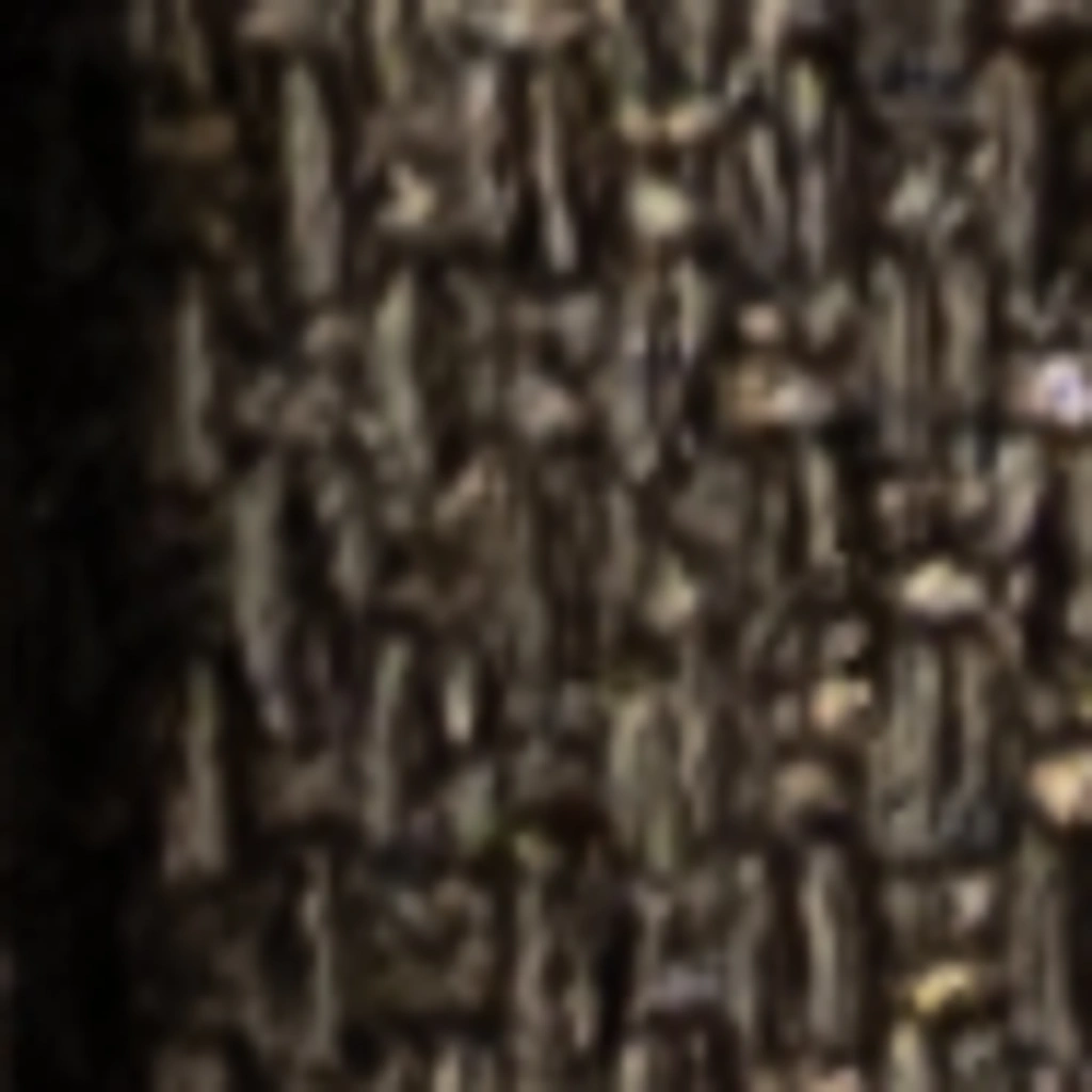 Atspalvis 16