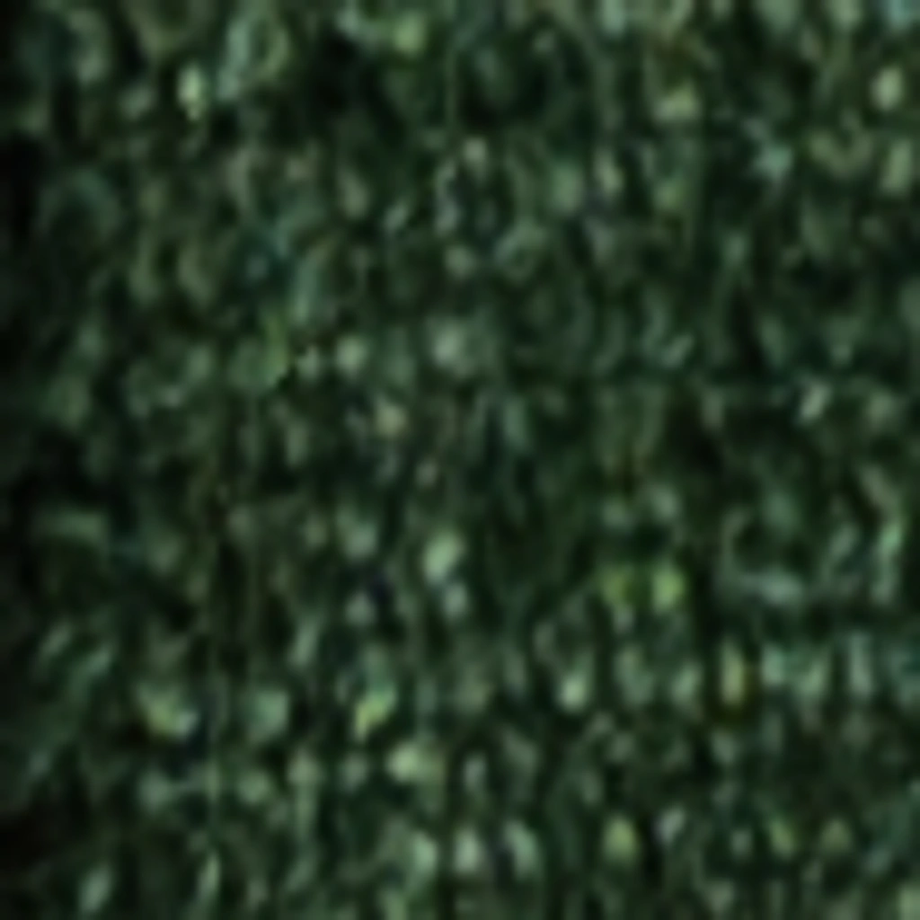 Atspalvis 19