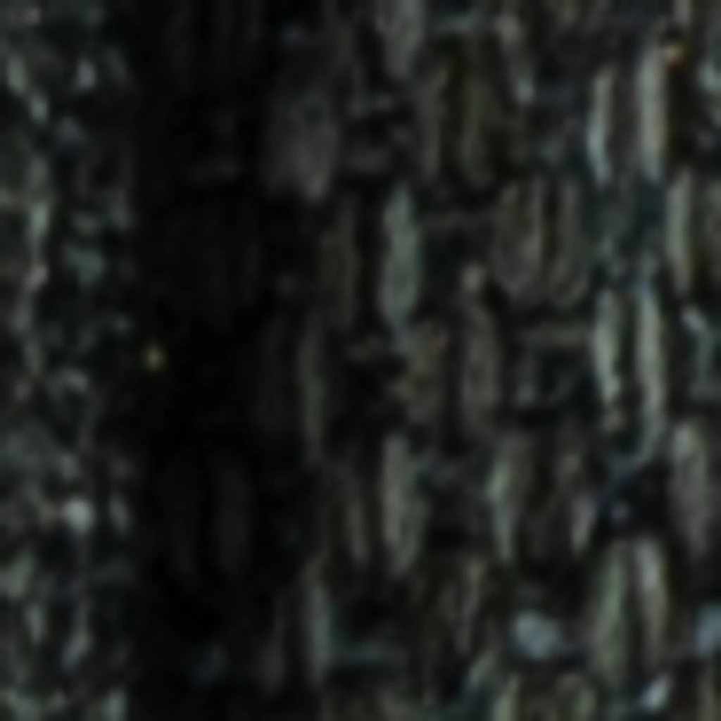 Atspalvis 23