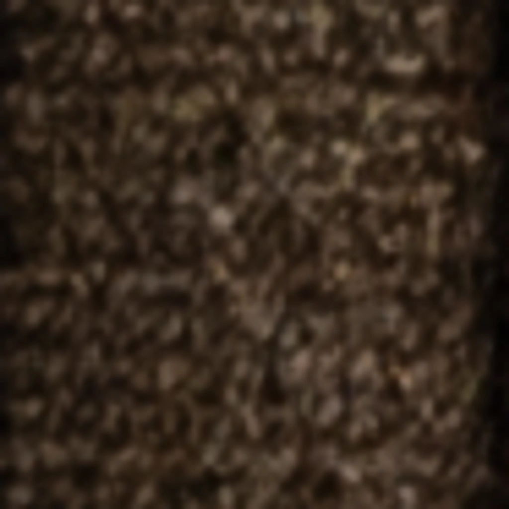 Atspalvis 25