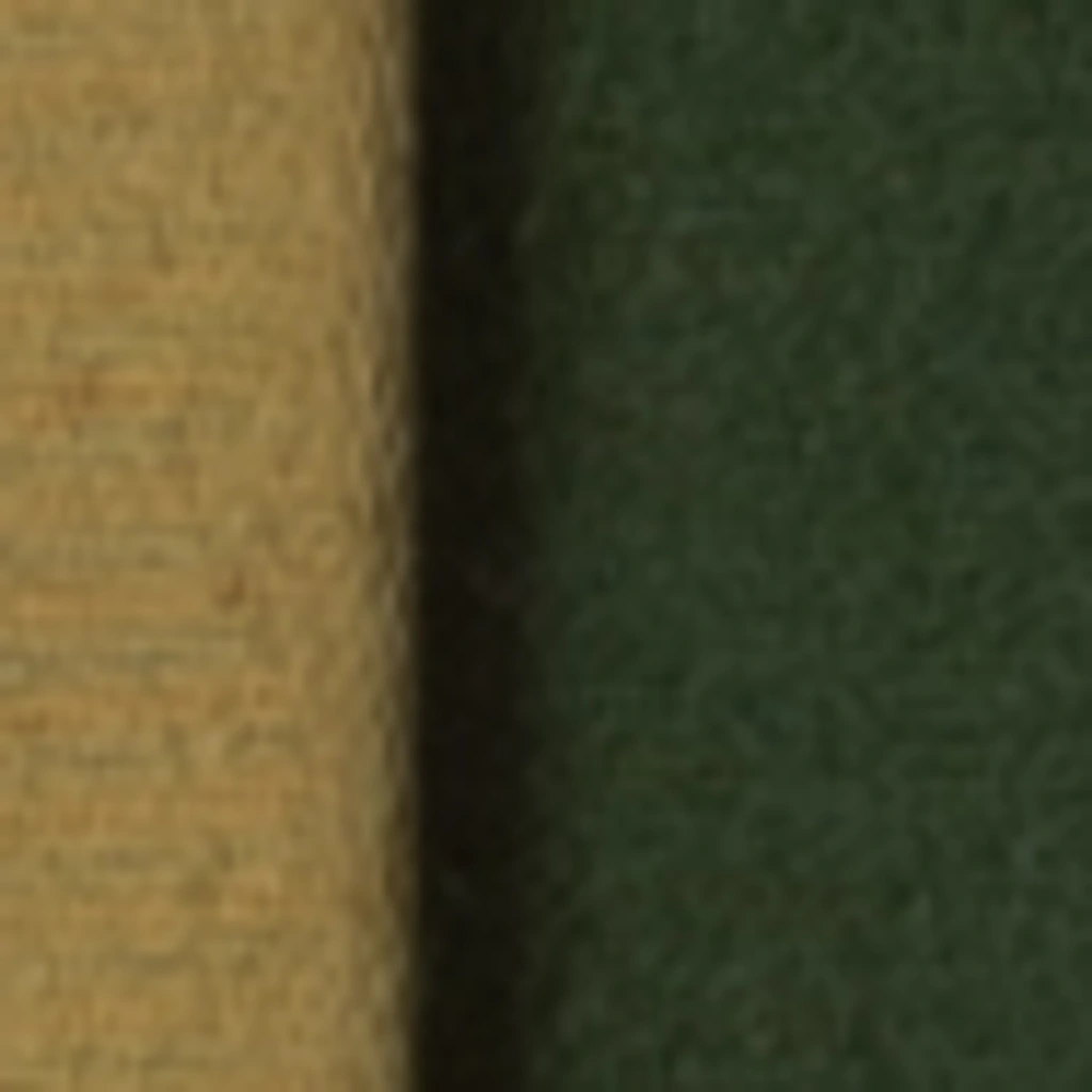 Atspalvis 20
