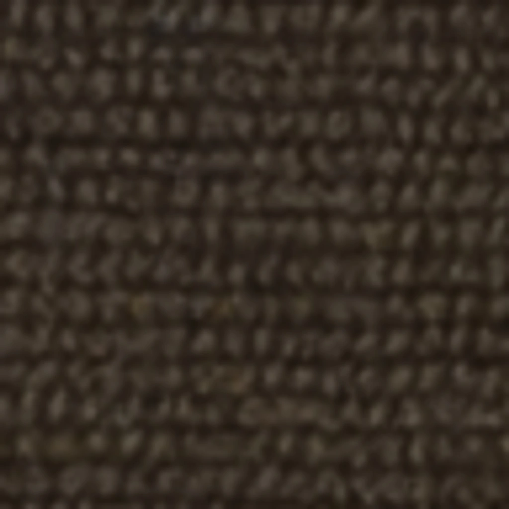 Atspalvis 13