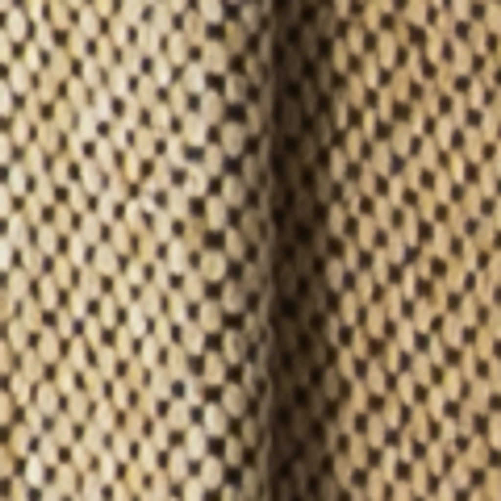 Atspalvis 2