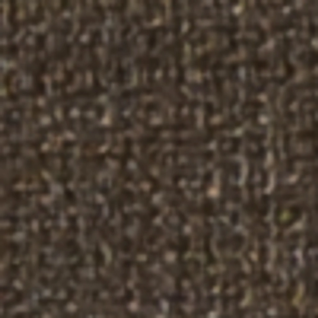 Atspalvis 21