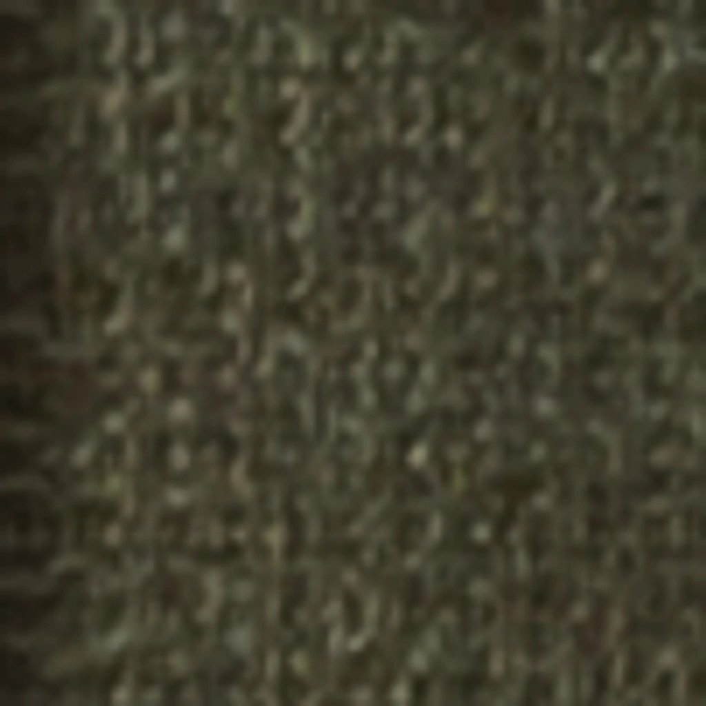 Atspalvis 24