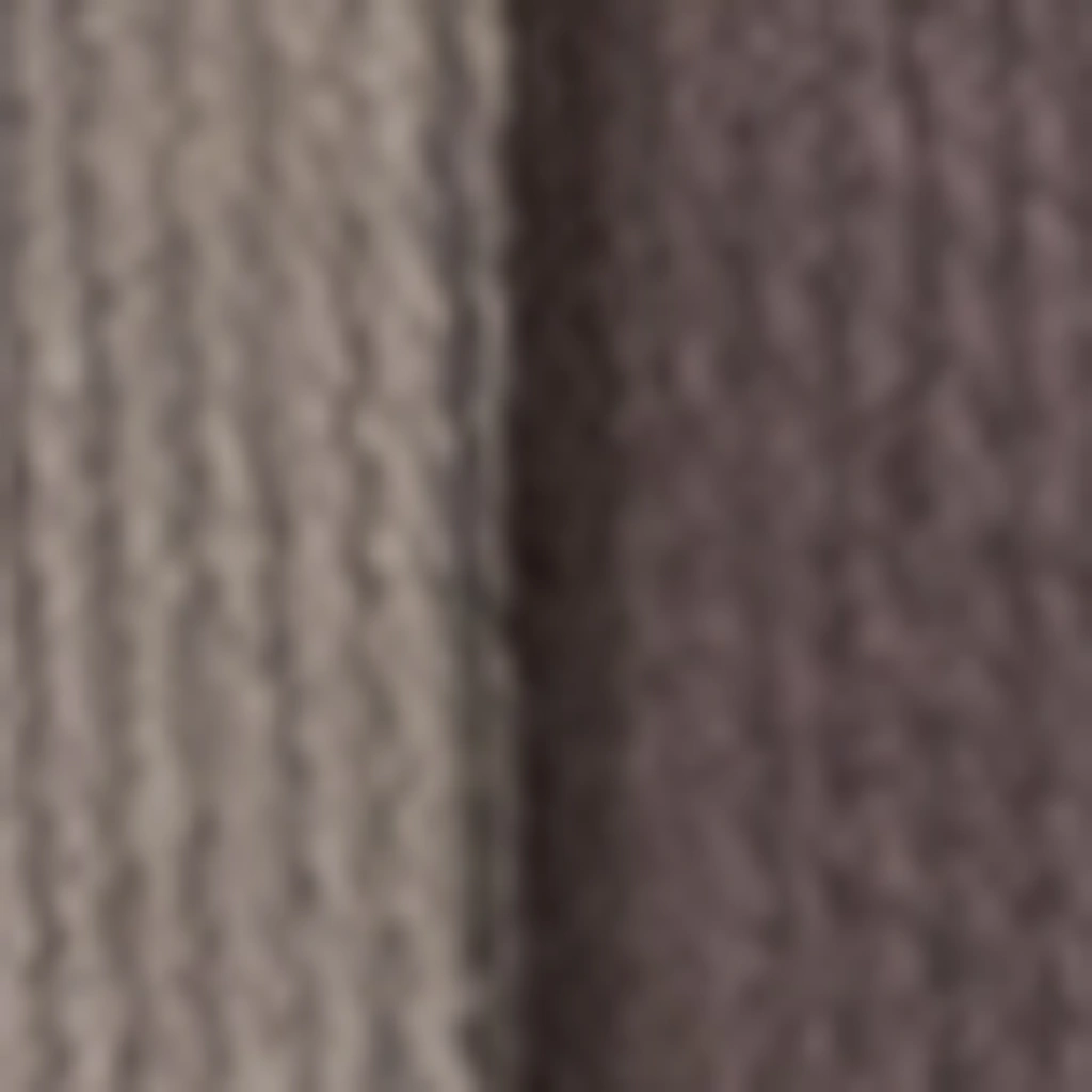 Atspalvis 24
