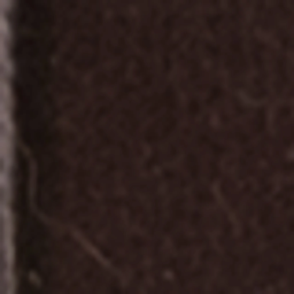 Atspalvis 25