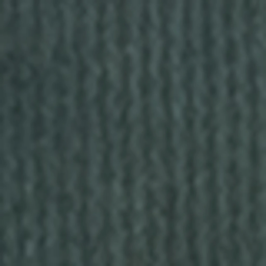 Atspalvis 31