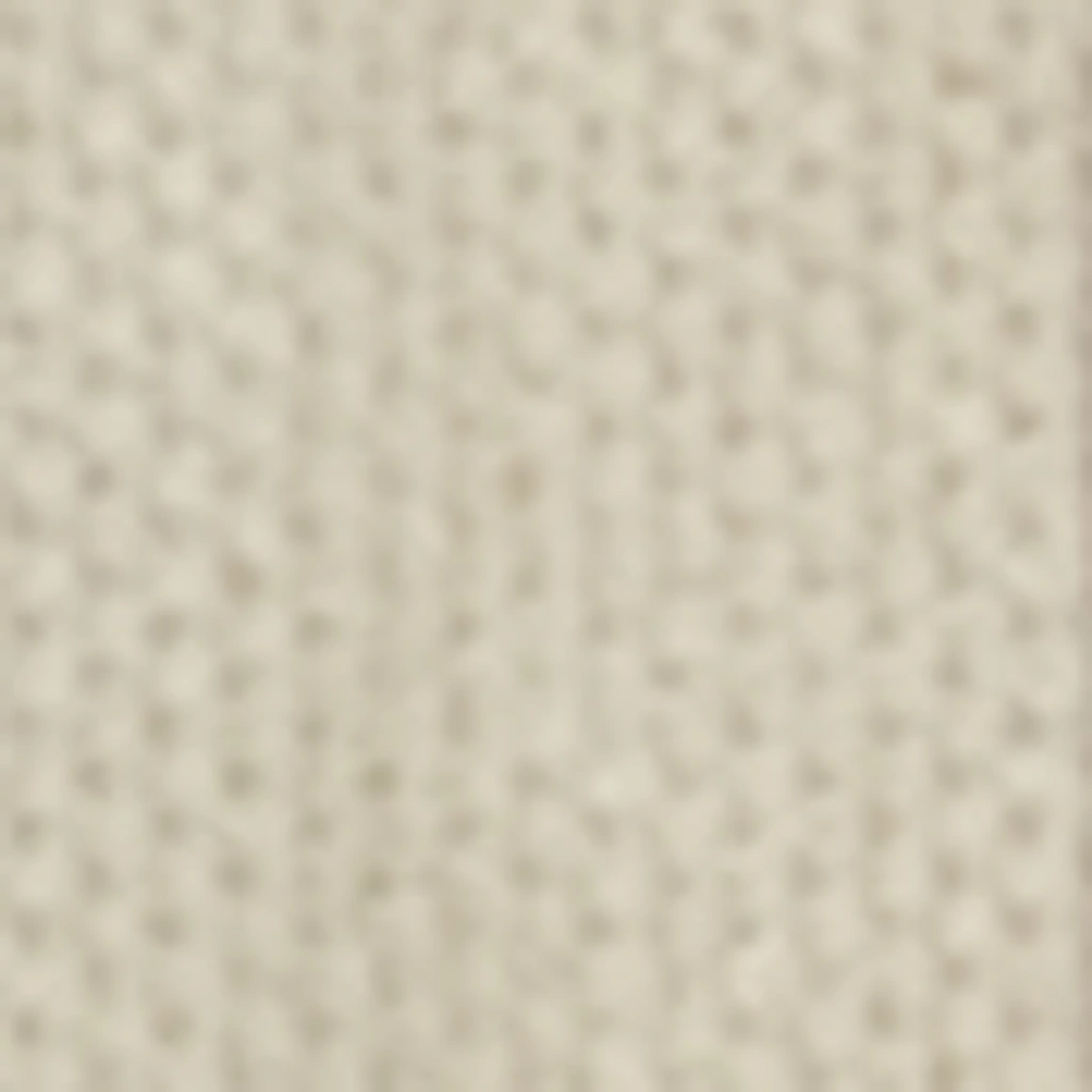 Atspalvis 1