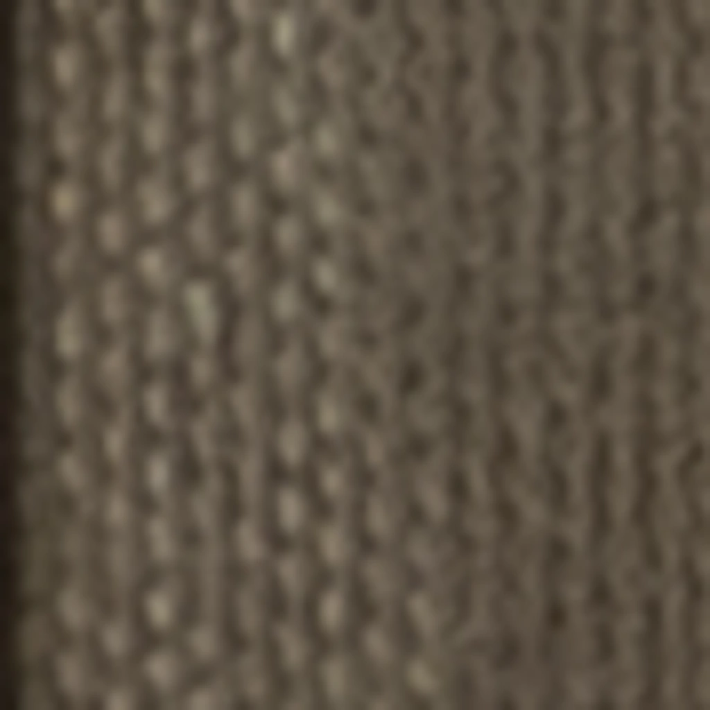 Atspalvis 6
