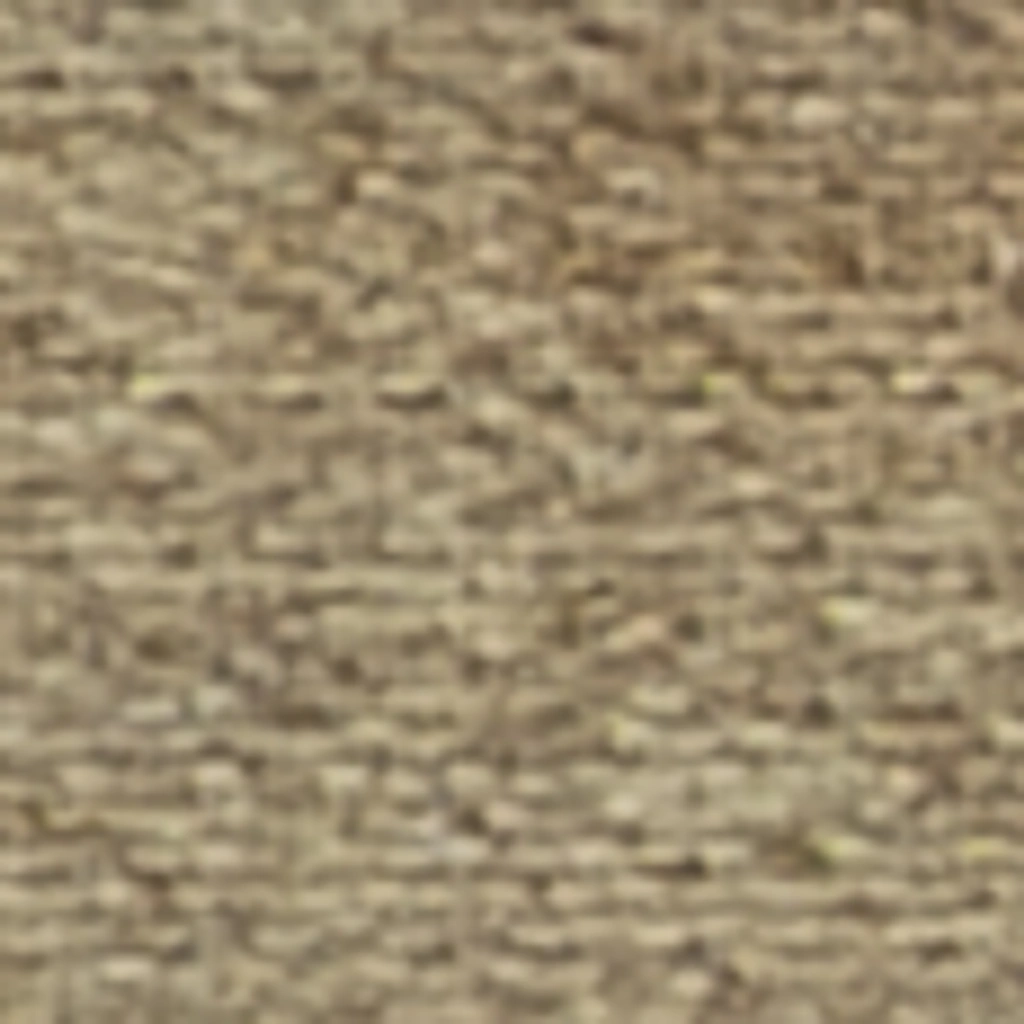 Atspalvis 1