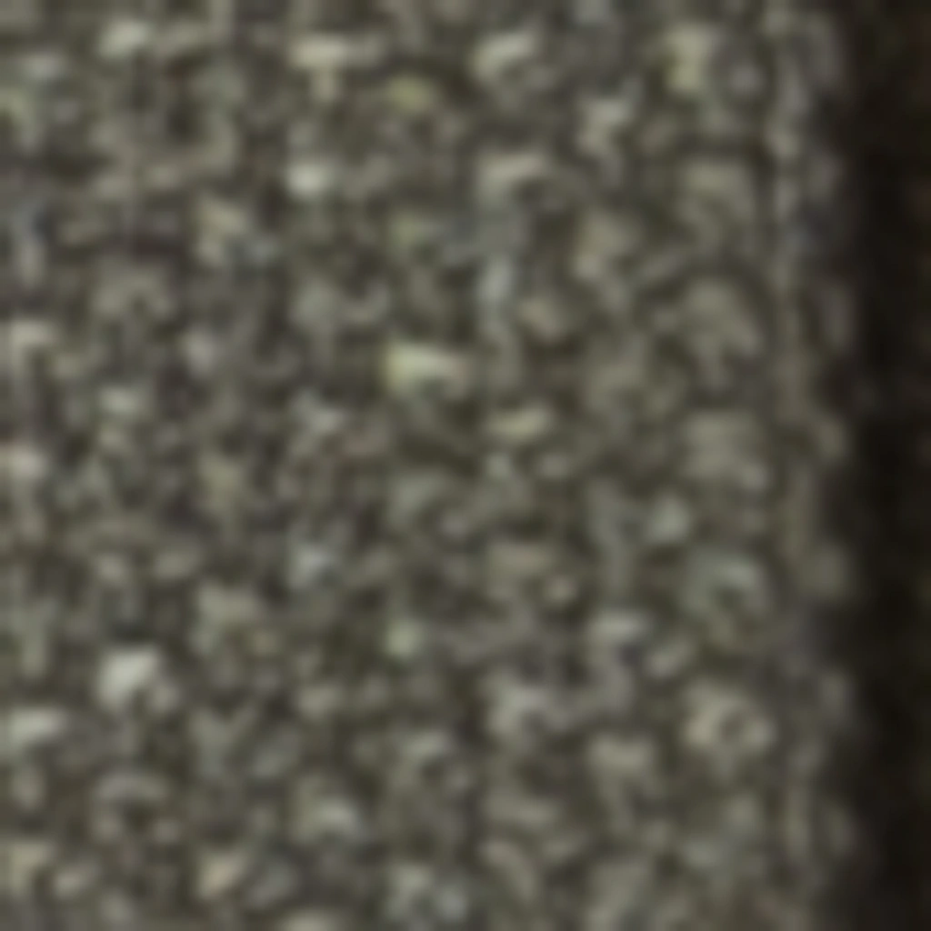Atspalvis 3