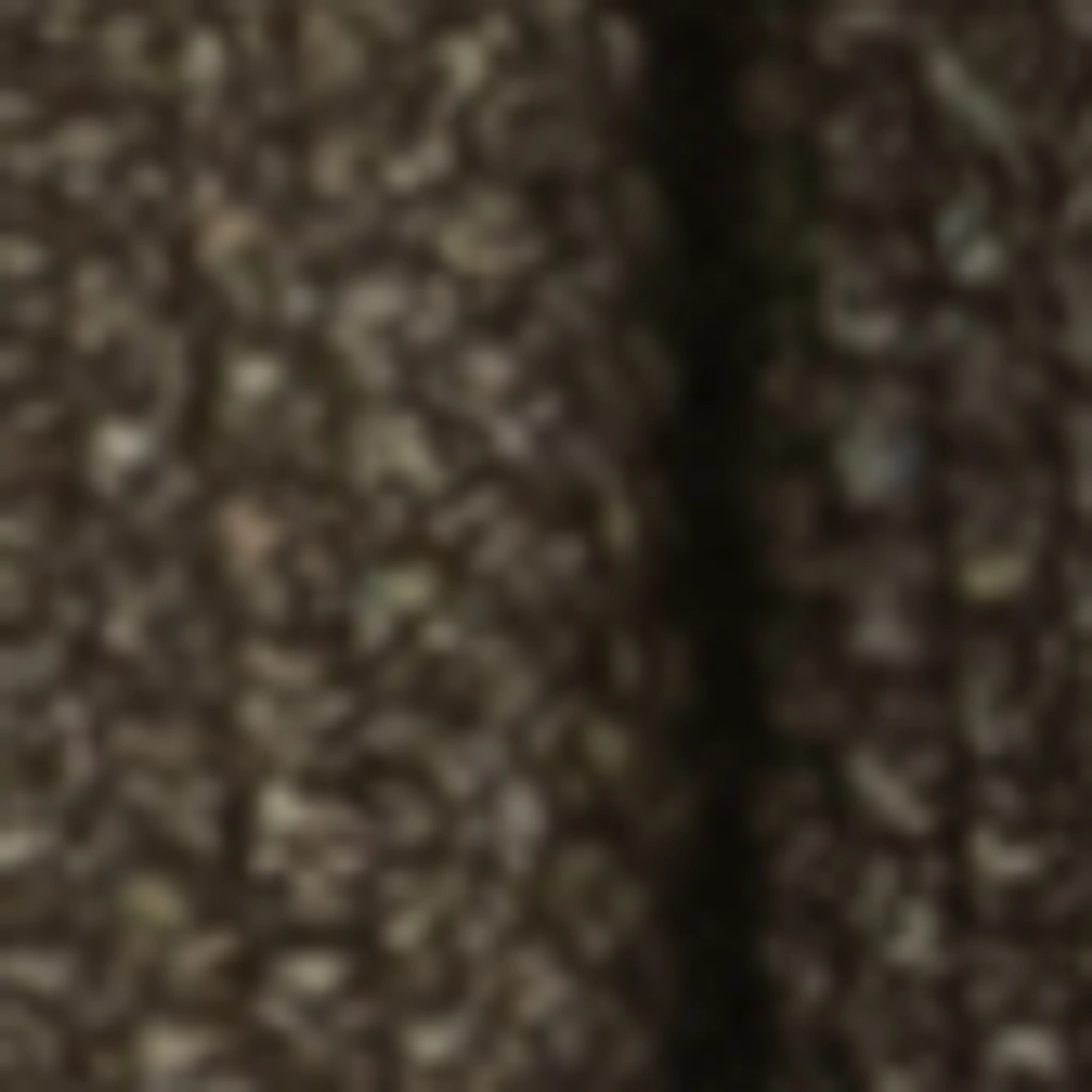 Atspalvis 5
