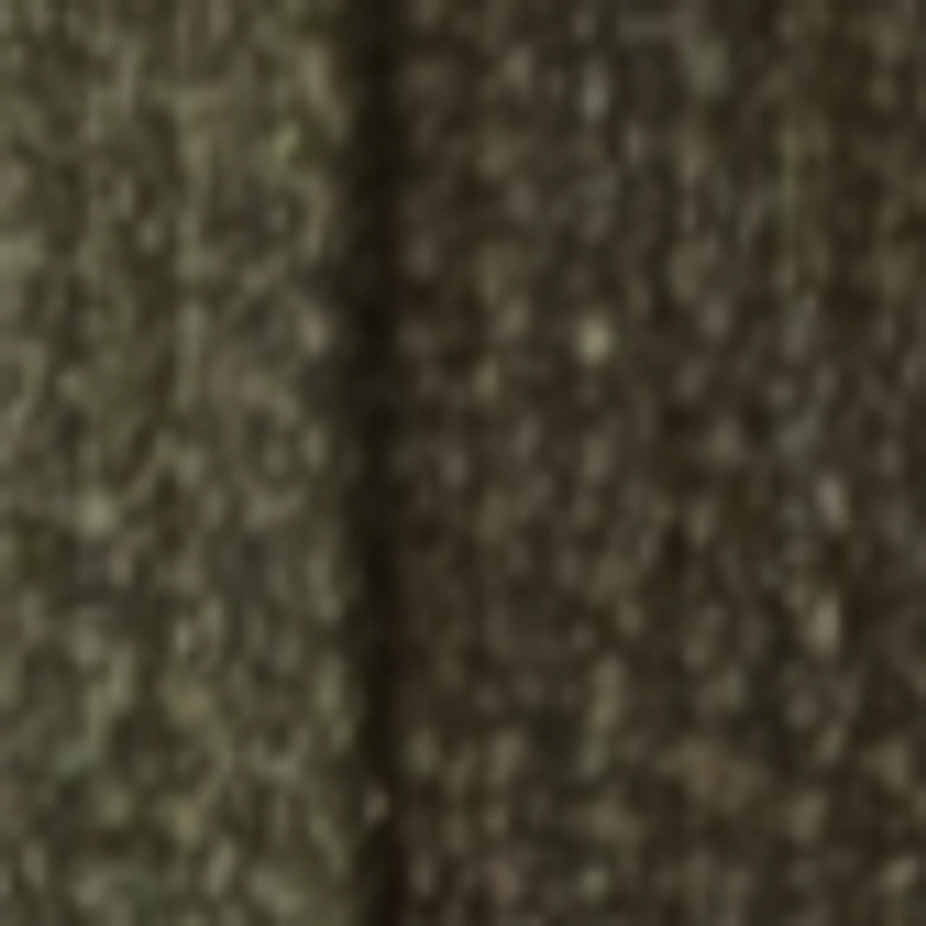 Atspalvis 26