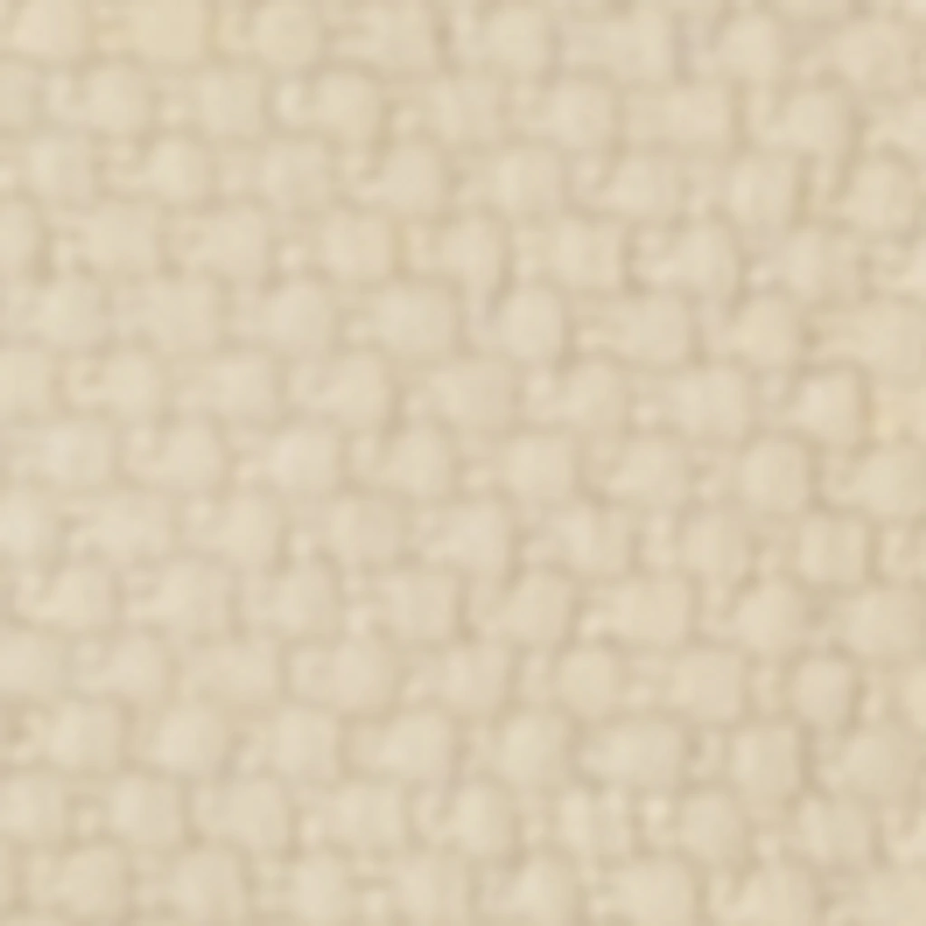 Atspalvis 1