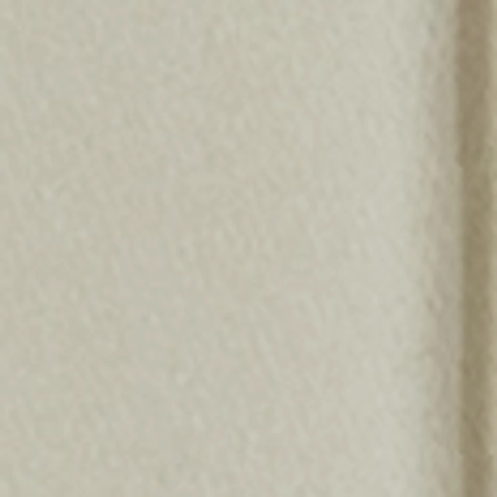Atspalvis 1
