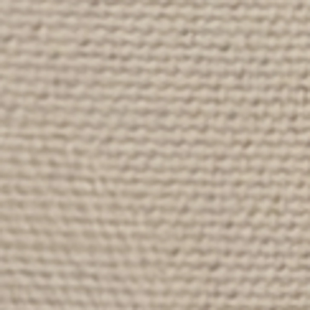 Atspalvis 1