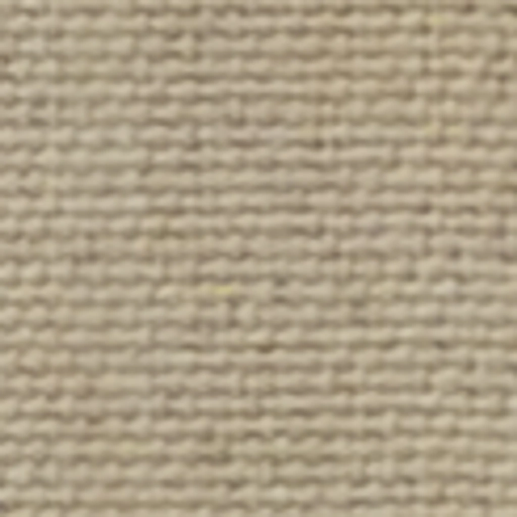 Atspalvis 2