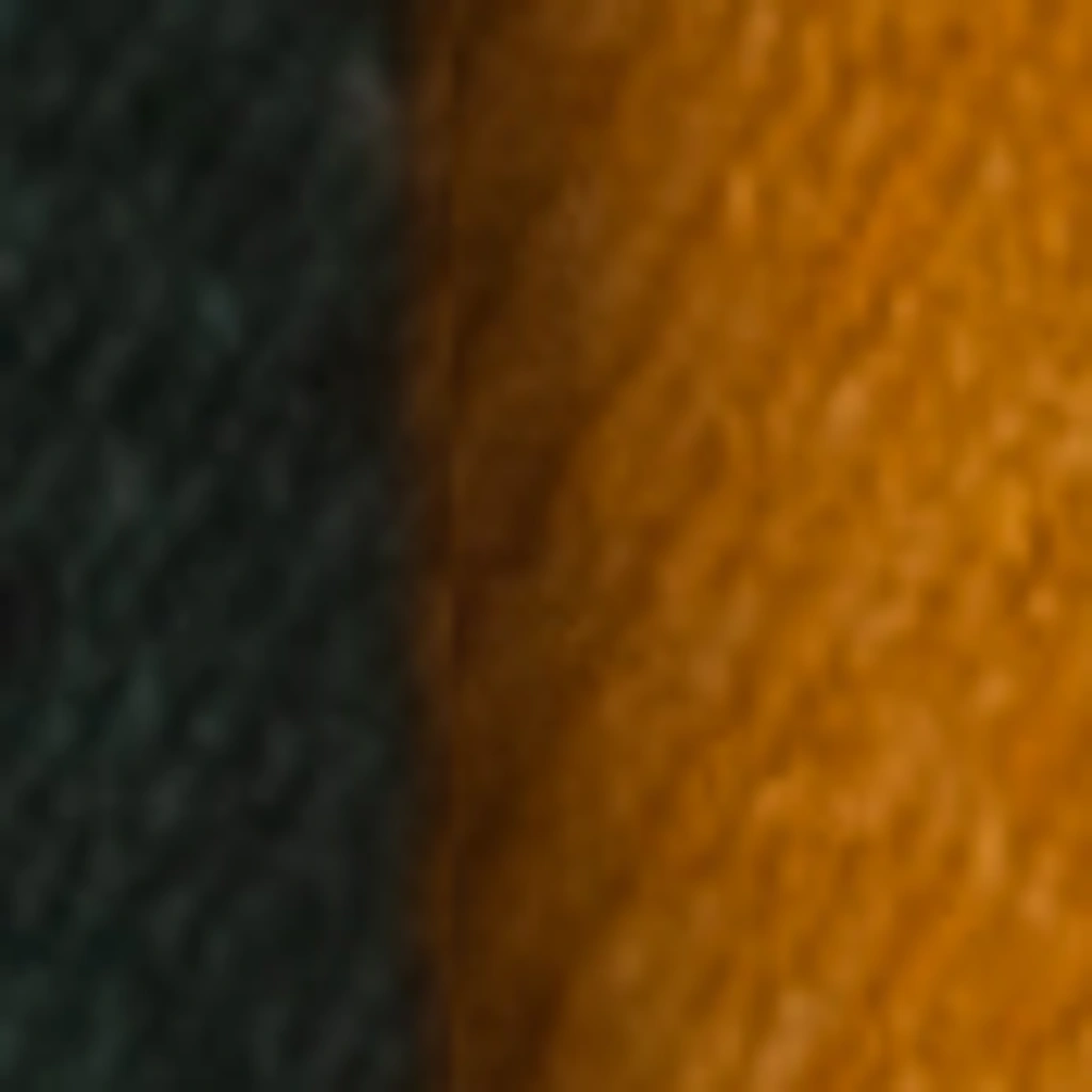 Atspalvis 29