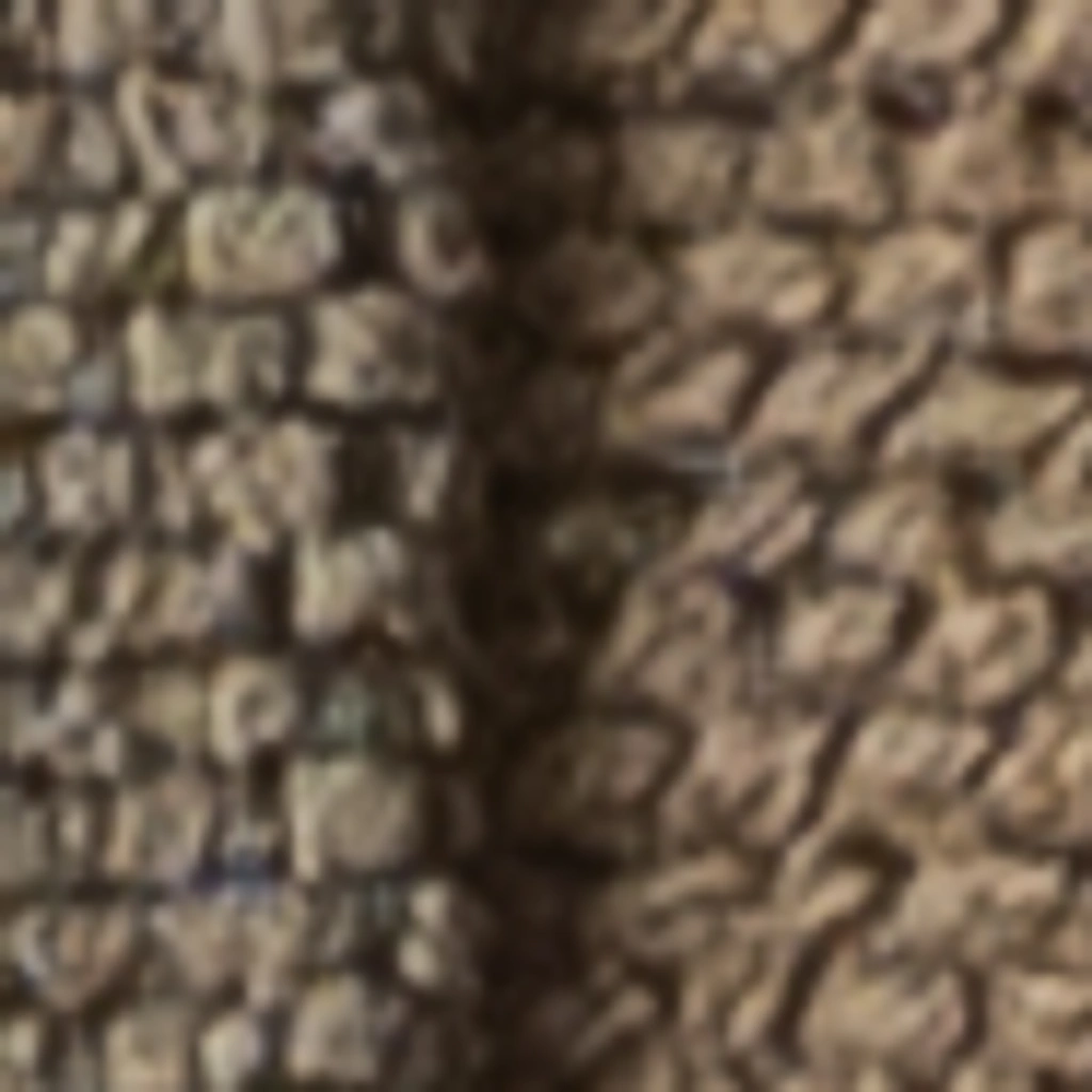 Atspalvis 15