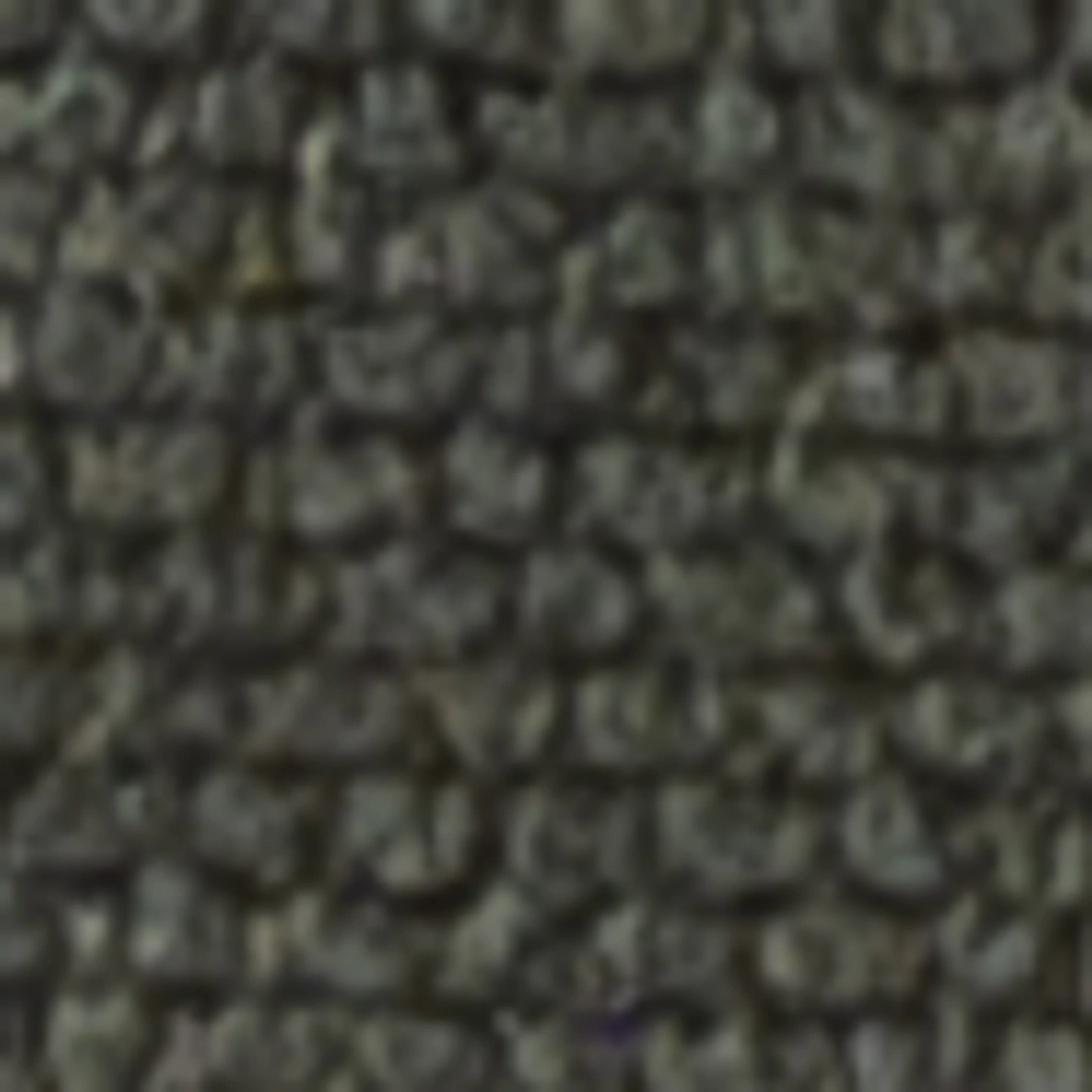 Atspalvis 21