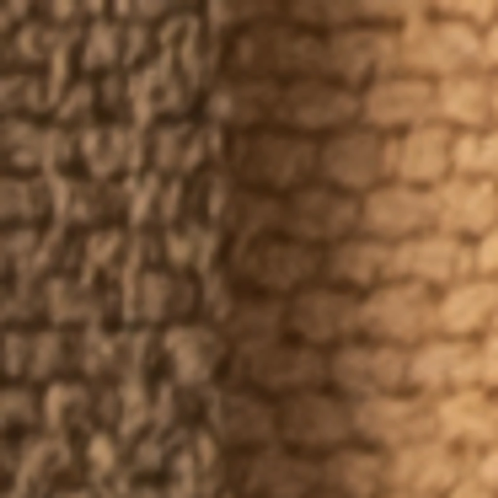 Atspalvis 26