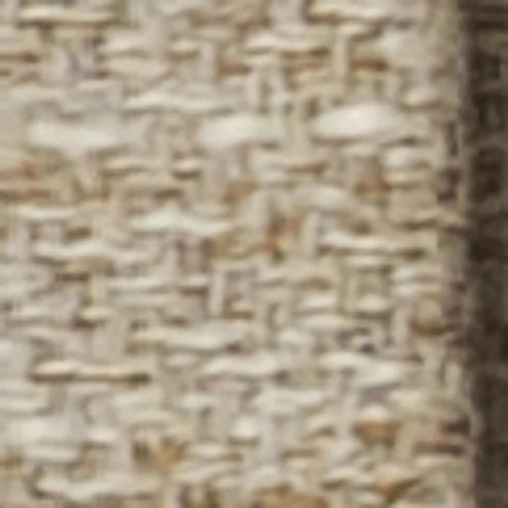 Kašmyro taupe